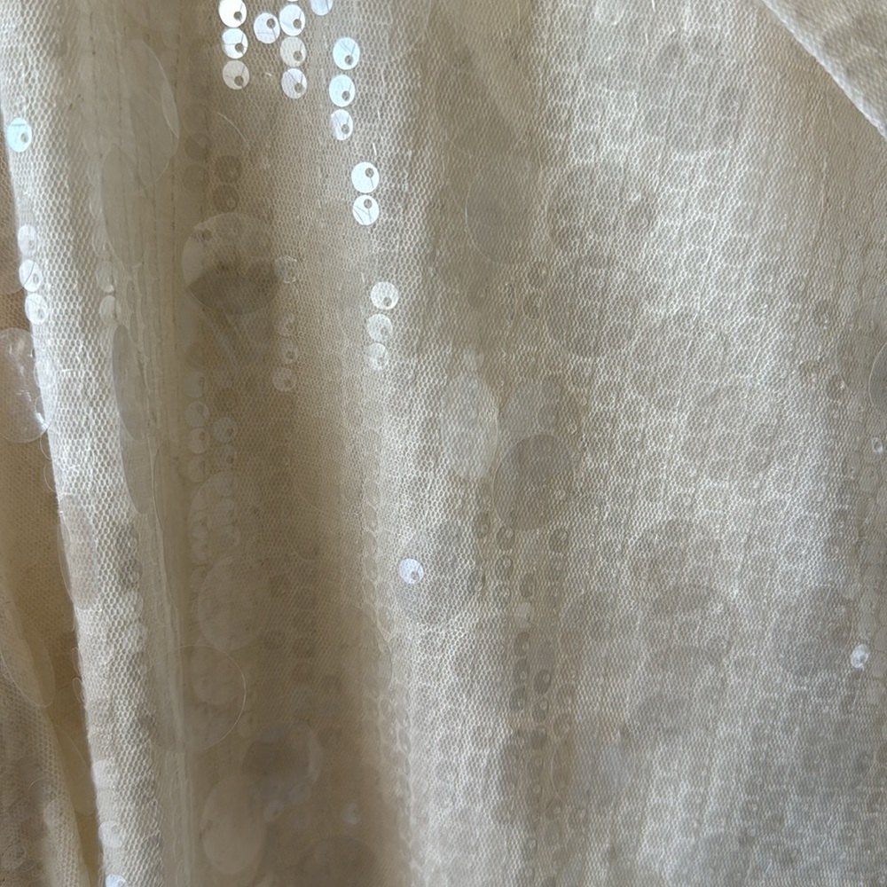 Zara Cream Sequin Blazer Jacket - Picture 6 of 11